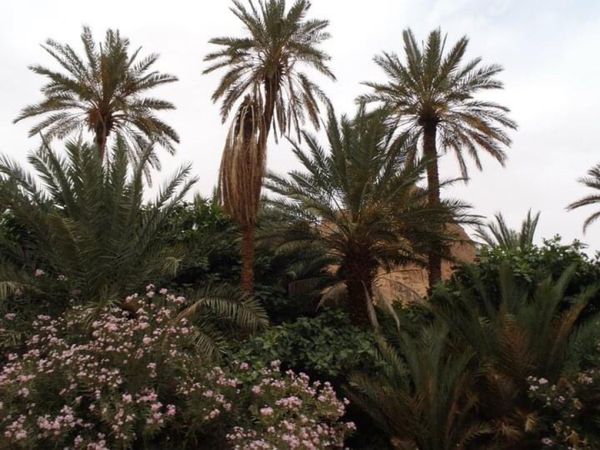 モロッコ・カサブランカ「Spain、Morocco」の写真