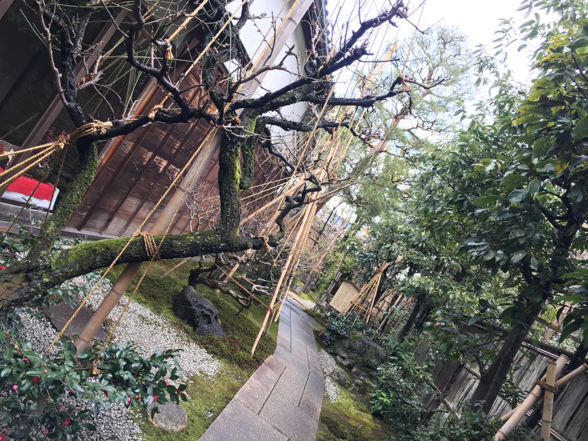 1日目は、伝統環境保護区域である長町武家屋敷跡へ⚔️
当時のままの景観を保...