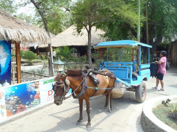 インドネシア・Bali「Bali ⑭」の写真