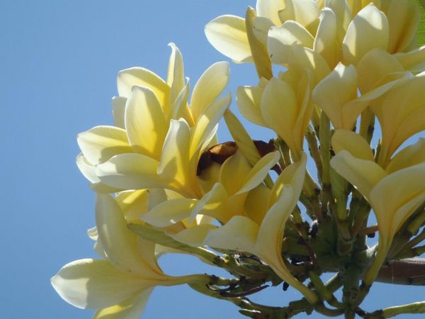 インドネシア・Bali「Bali ⑭」の写真