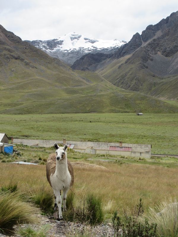 ペルー・Cusco「Bolivia、Peru、Mexico」の写真