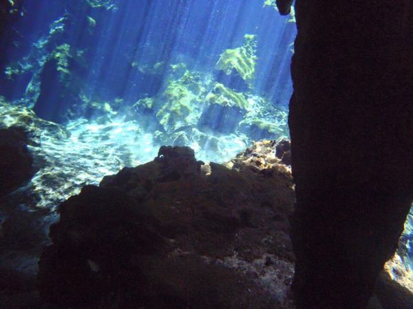 メキシコ・カンクン「Bolivia、Peru、Mexico」の写真