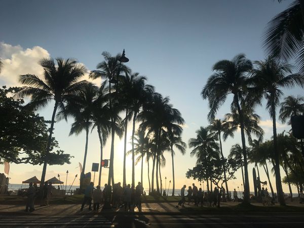 アメリカ(米国)・ハワイ「HAWAII 3回目」の写真