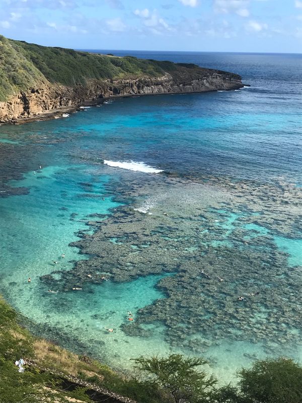 アメリカ(米国)・ハワイ「HAWAII 3回目」の写真