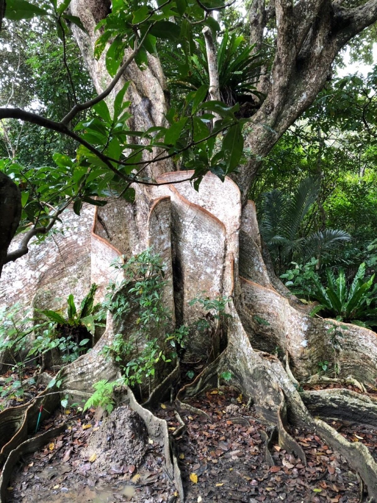 飲みたかった「マリヤシェイク」食べたかった「焼肉やまもと」。飽きもせず「サ...