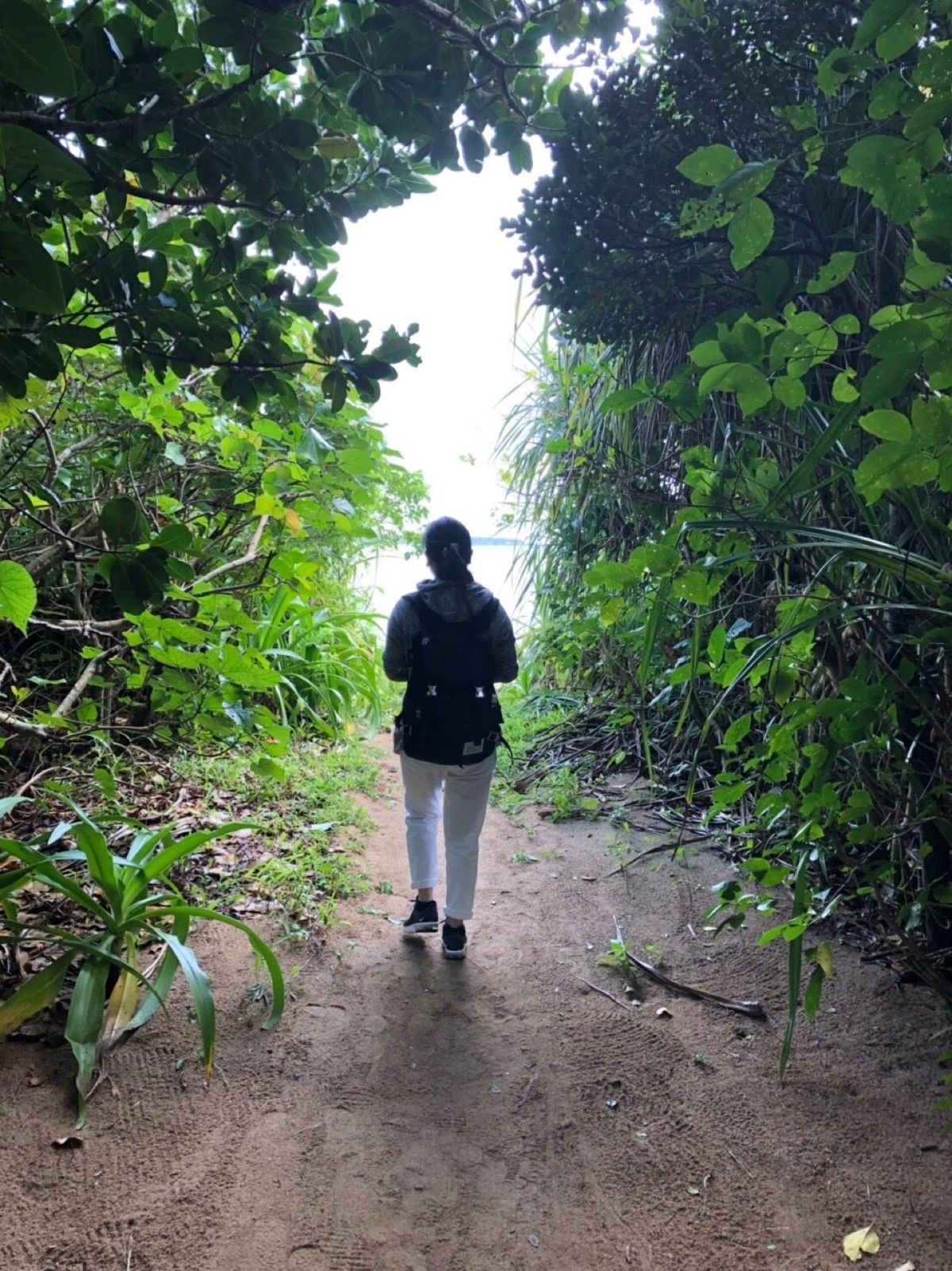 飲みたかった「マリヤシェイク」食べたかった「焼肉やまもと」。飽きもせず「サ...