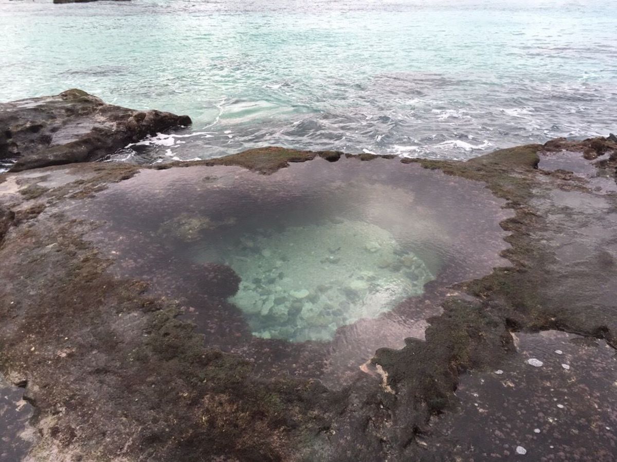 島豆腐　髙野でランチ。ここはなんと島豆腐が食べ放題！定食を食べる前に気をつ...