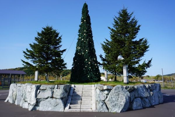 日本・北海道「北海道旅行(稚内〜旭川)」の写真：トナカイ初めて見たかも
餌を買って食べ...