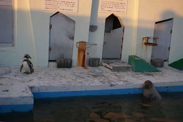 日本・北海道「北海道旅行(稚内〜旭川)」の写真：閉館間際で駆け足でまわった稚内市立ノシャ...