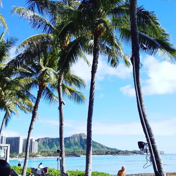 アメリカ(米国)・ハワイ「ハワイ」の写真：これぞ、HAWAII（笑）