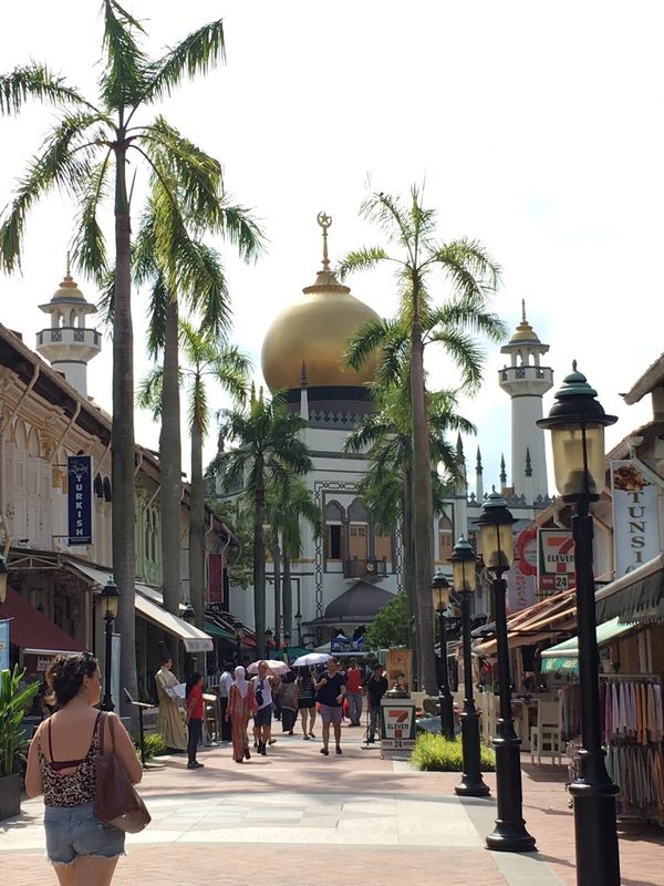 シンガポール・シンガポール「2016年シンガポール」の写真