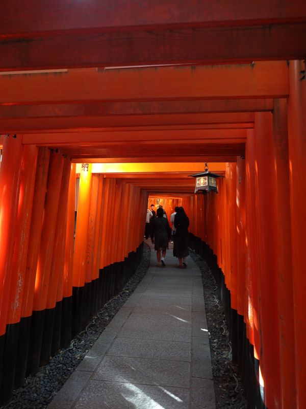 日本・京都「Travel to Kyoto」の写真