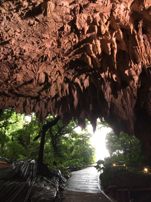 日本・久米島「にっぽん丸で沖縄離島」の写真：中部国際空港から那覇空港へ。
乗船手続き...