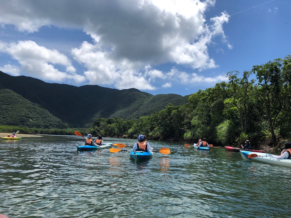 干潮にしか見られないハートロックと、マングローブでのカヌー体験。高知山展望...