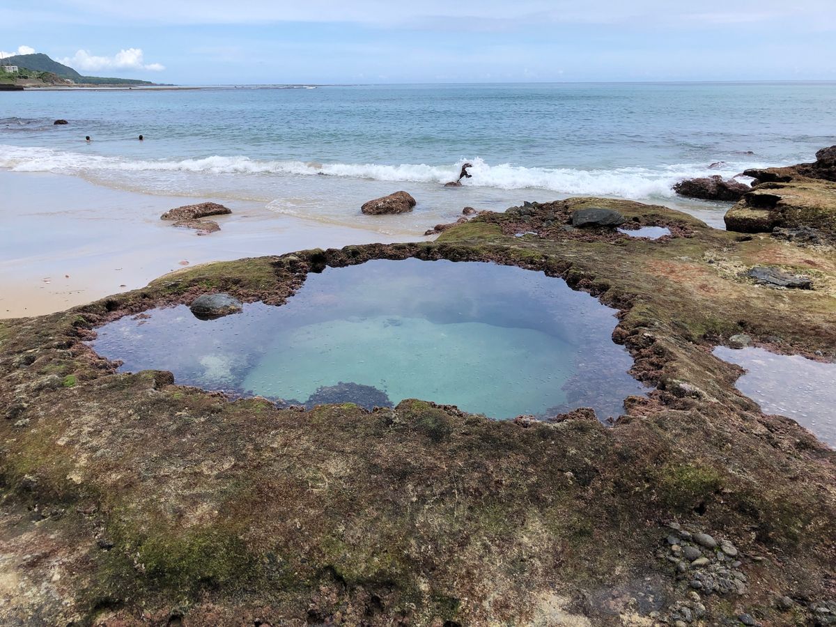 干潮にしか見られないハートロックと、マングローブでのカヌー体験。高知山展望...