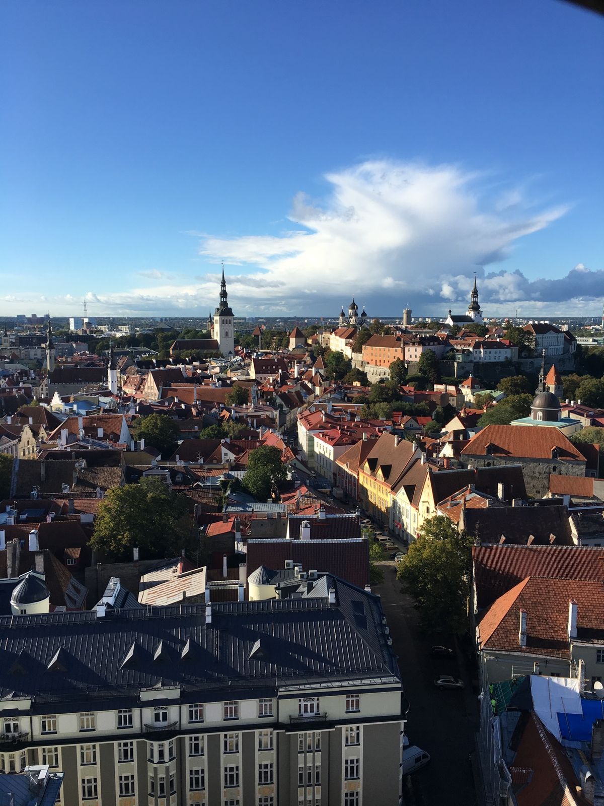 エストニアのタリンへ。
塔に昇りまくる！！
城壁歩く！
ふと見つけた教会に...