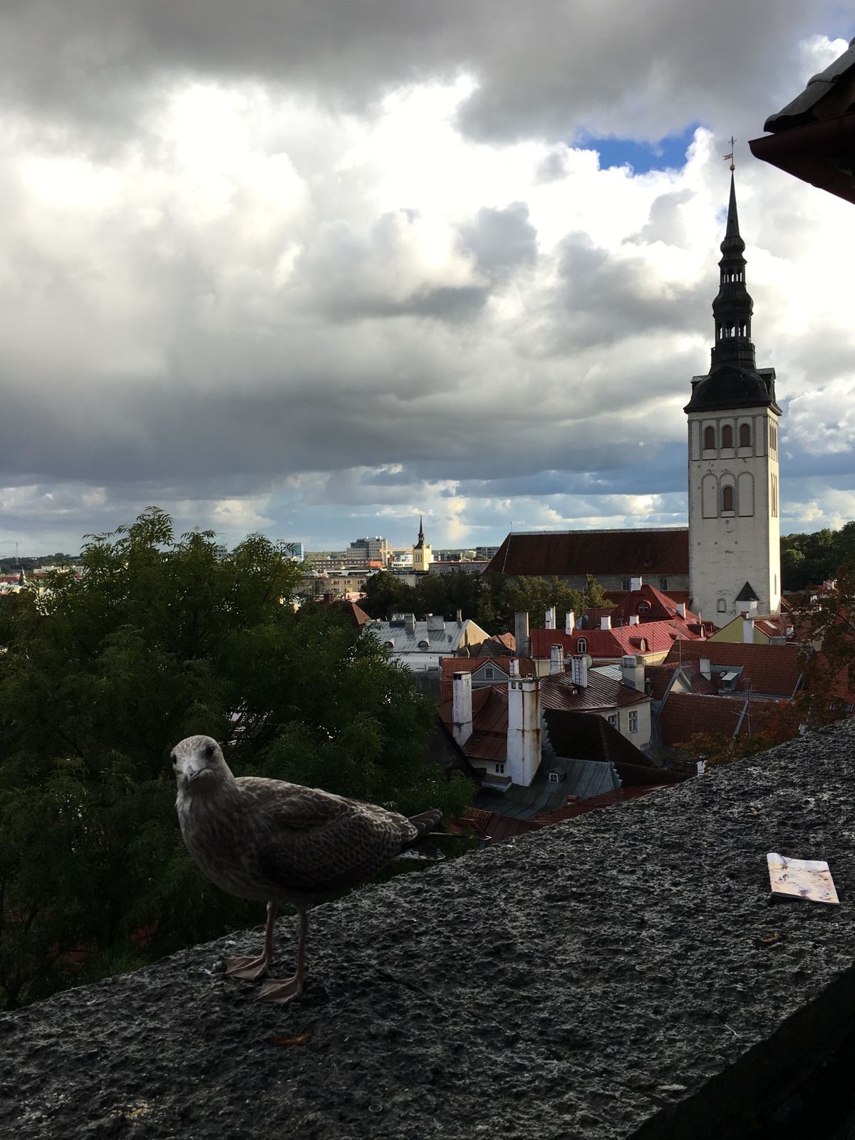 エストニアのタリンへ。
塔に昇りまくる！！
城壁歩く！
ふと見つけた教会に...