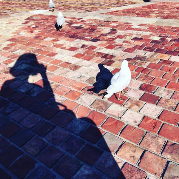 オーストラリア連邦・メルボルン「オーストラリア🇦🇺」の写真