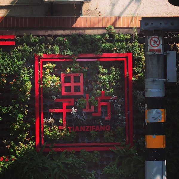 中国・上海「中国🇨🇳」の写真