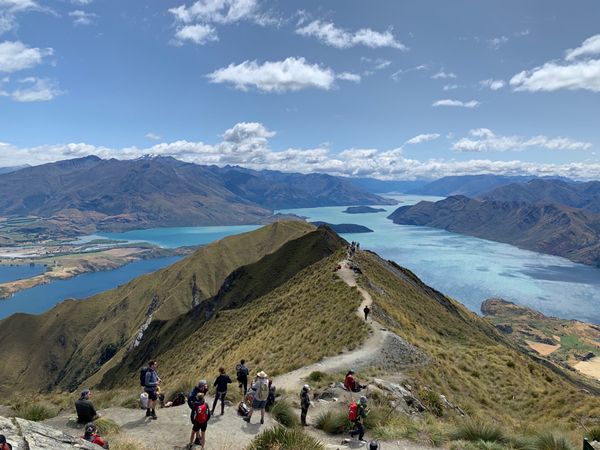 ニュージーランド・オークランド「ニュージーランドの旅」の写真