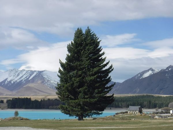 ニュージーランド・テカポ湖「New Zealand(South Island) ＆ Australia(Uluru、Sydney)」の写真