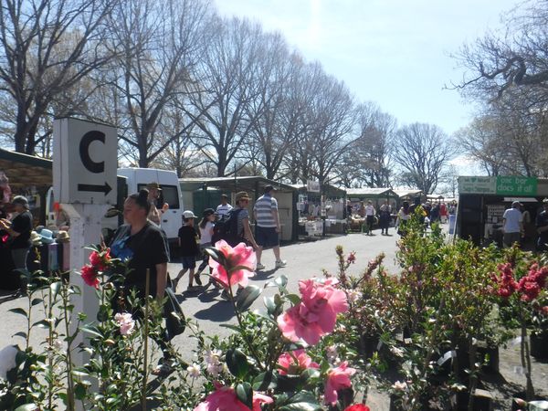 ニュージーランド・テカポ湖「New Zealand(South Island) ＆ Australia(Uluru、Sydney)」の写真