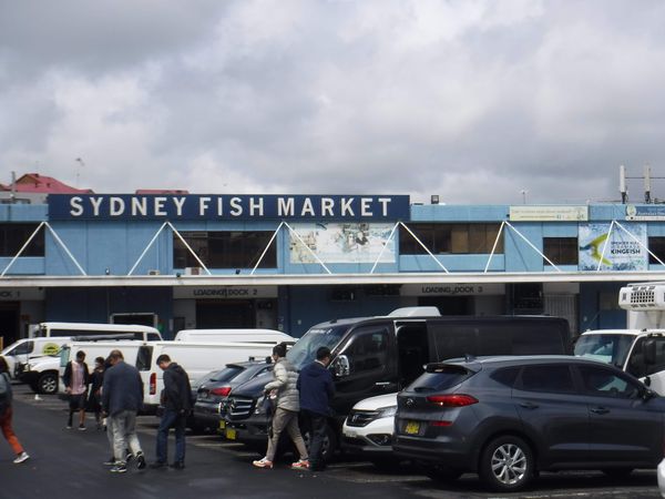 オーストラリア連邦・ロックス「New Zealand(South Island) ＆ Australia(Uluru、Sydney)」の写真