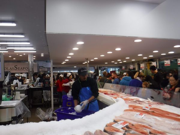 オーストラリア連邦・ロックス「New Zealand(South Island) ＆ Australia(Uluru、Sydney)」の写真