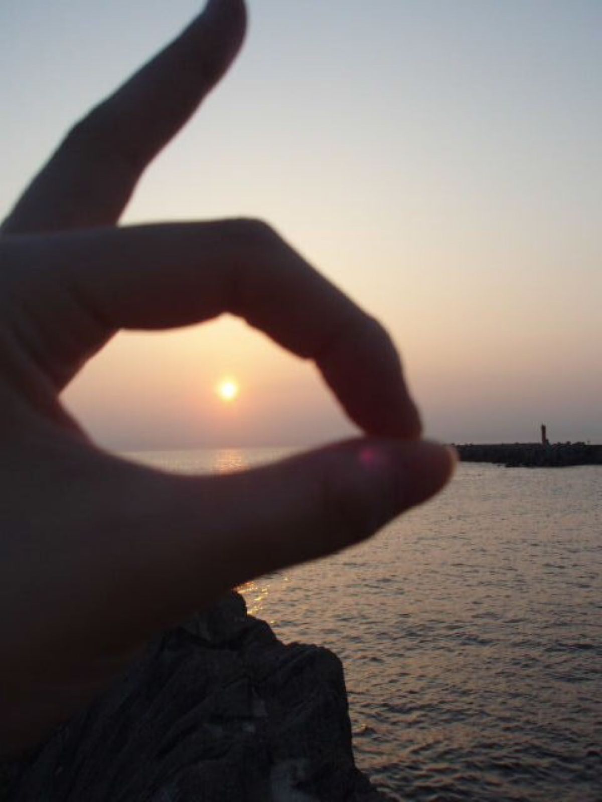 横須賀、三崎港