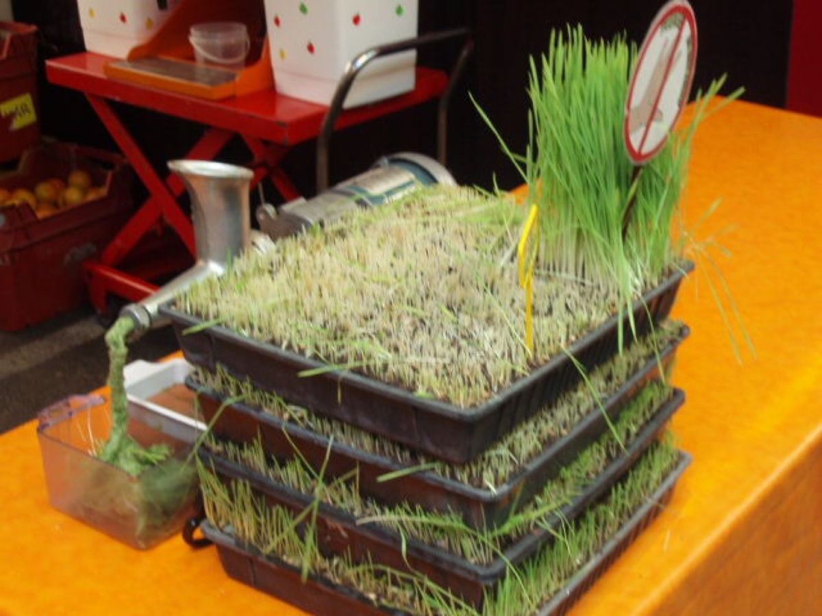 フリーマントル