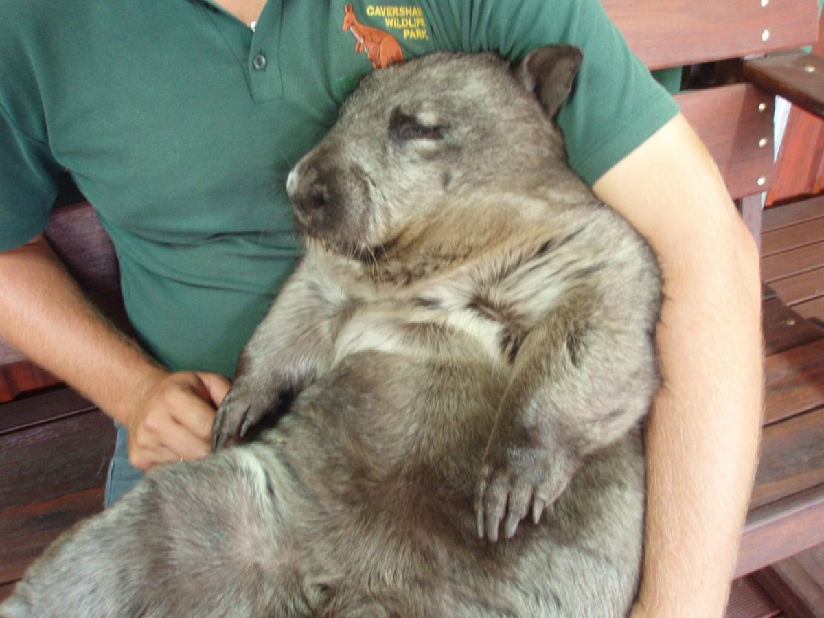 ワイルドライフパーク