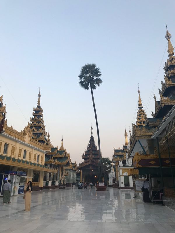 ミャンマー・ヤンゴン「ミャンマー　ヤンゴン　」の写真