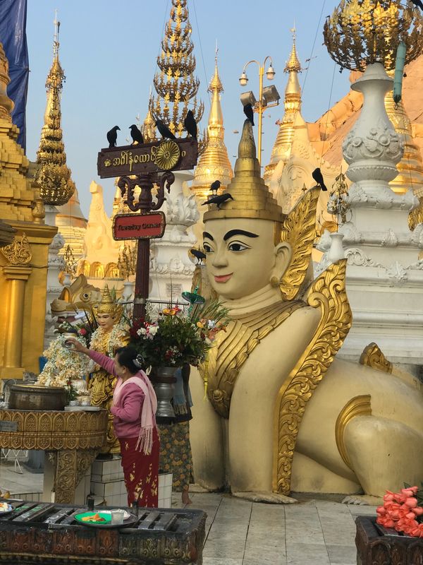 ミャンマー・ヤンゴン「ミャンマー　ヤンゴン　」の写真