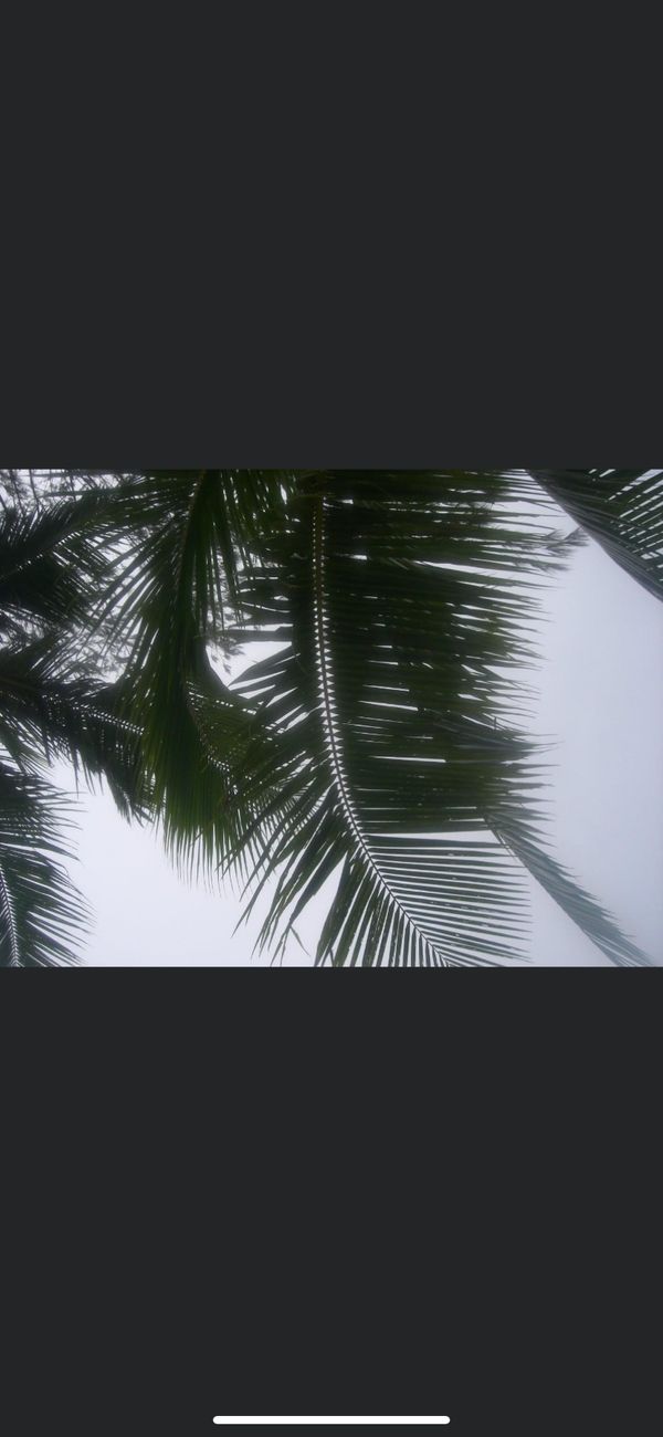 北マリアナ諸島・サイパン「サイパン旅行」の写真