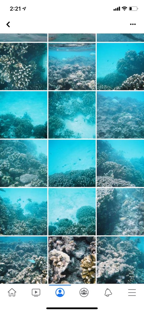 北マリアナ諸島・サイパン「サイパン旅行」の写真