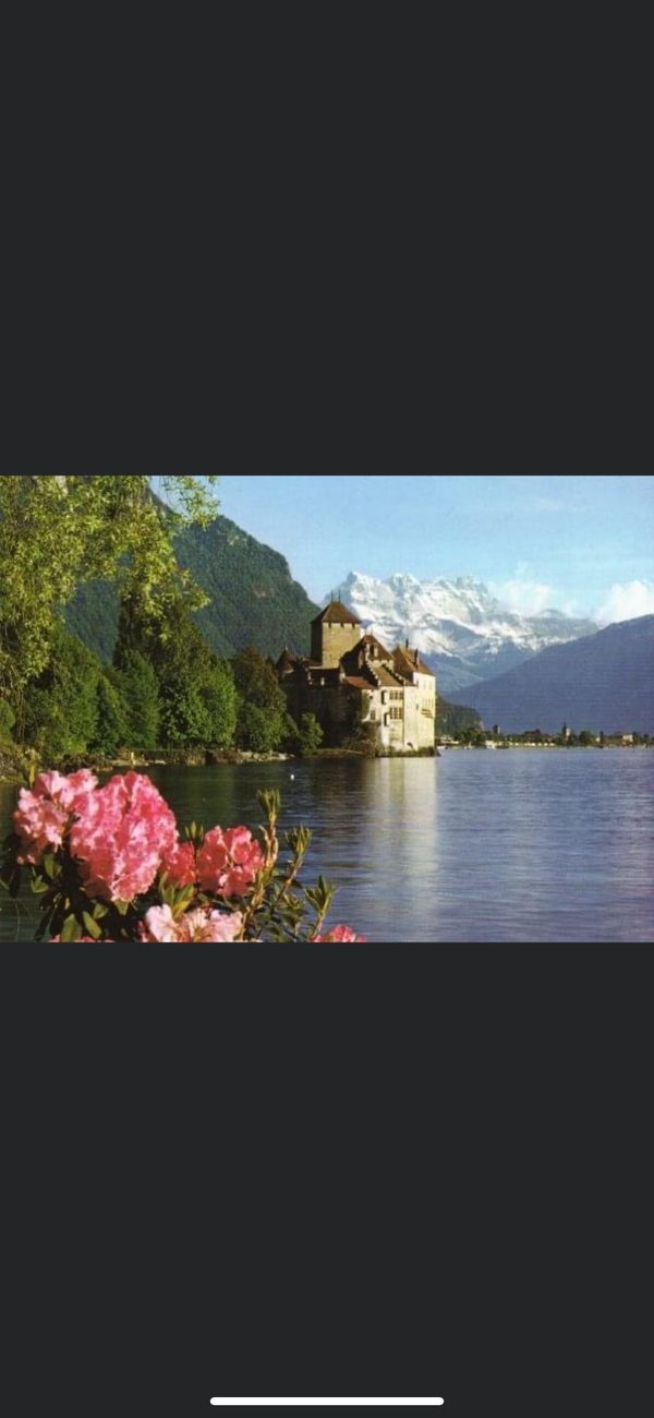 スイス「コー　スイス」の写真