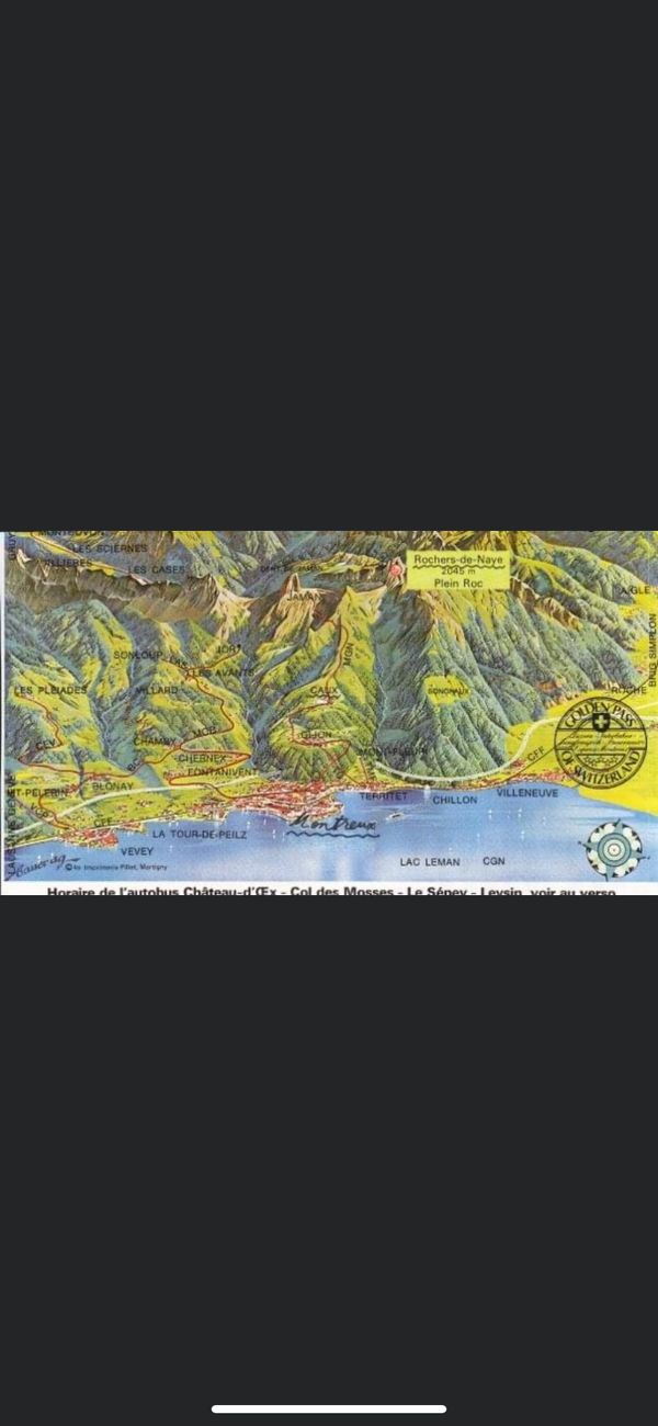 スイス「スイス」の写真