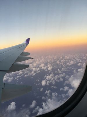 最終日✈️