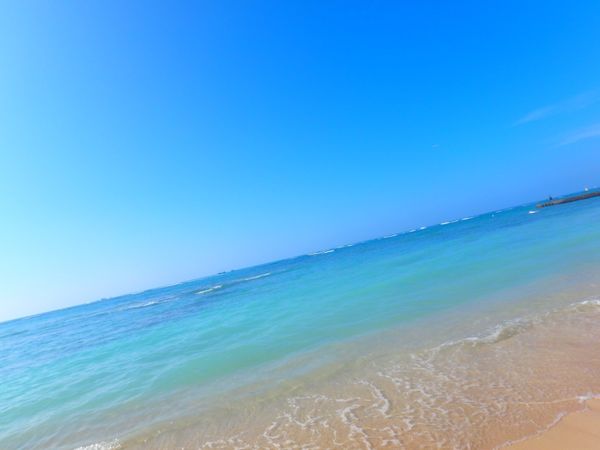 アメリカ(米国)・ワイキキ「Hawaii 卒業旅行♡」の写真：2日目🍍