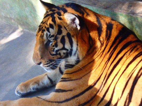 タイ・プーケット「Phuket 卒業旅行♡」の写真