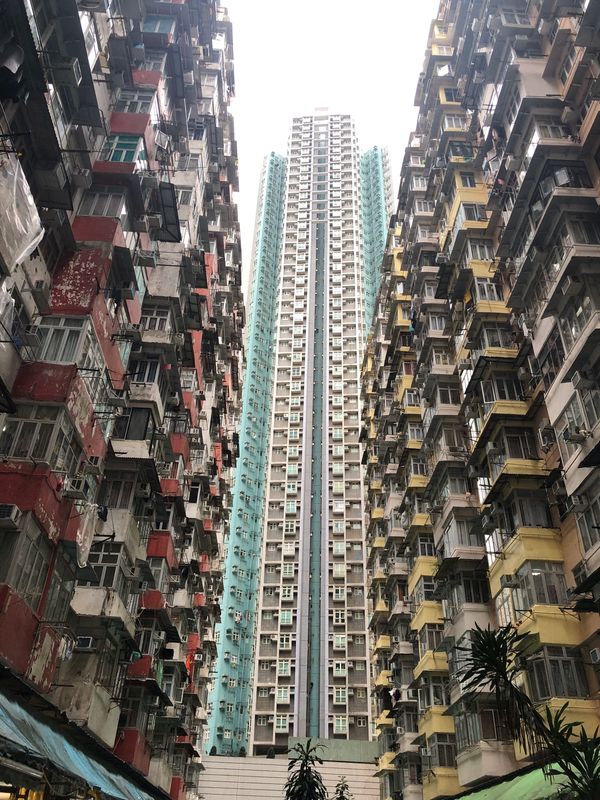 香港「香港出張」の写真