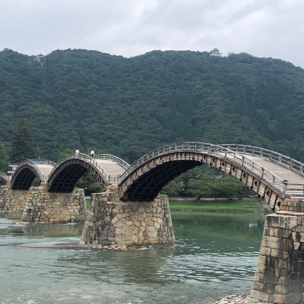 日本・萩「山口　家族旅行」の写真：岩国　錦帯橋