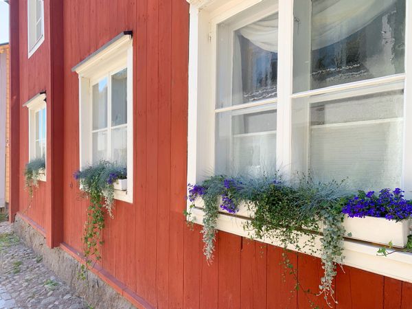 フィンランド・ヘルシンキ「2019 Midsummer ⑤」の写真