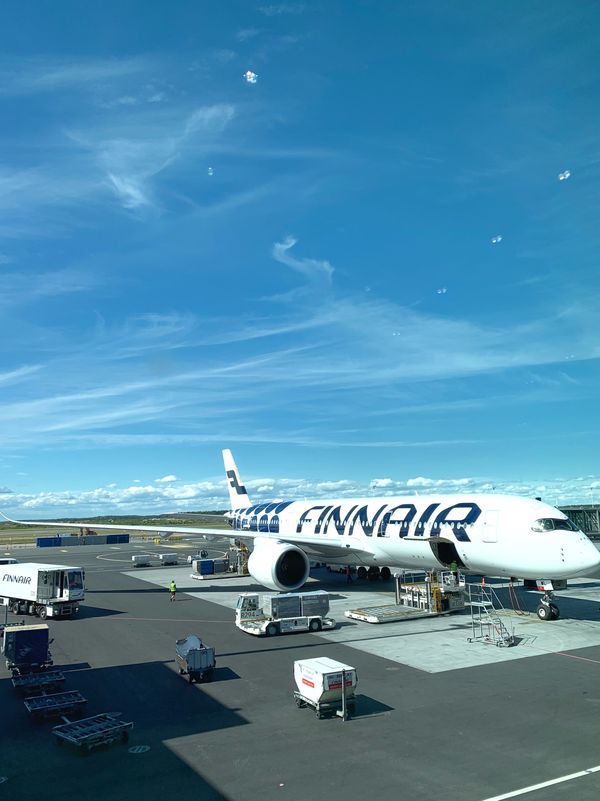 フィンランド・ヘルシンキ「2019 Midsummer ⑤」の写真