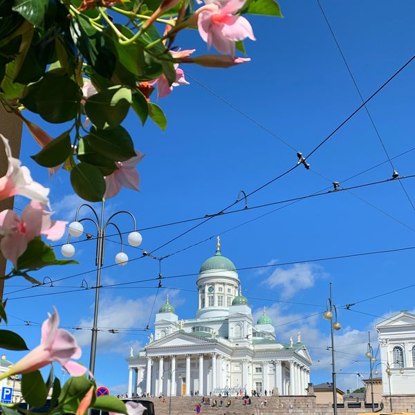 フィンランド・ヘルシンキ「2019 Midsummer ⑤」の写真