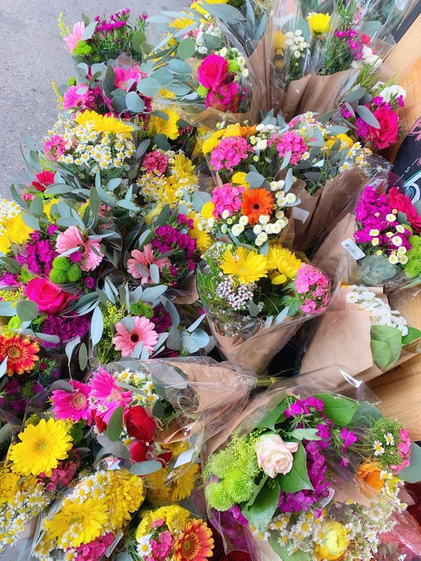 アメリカ(米国)・ロサンゼルス「2019 LA」の写真