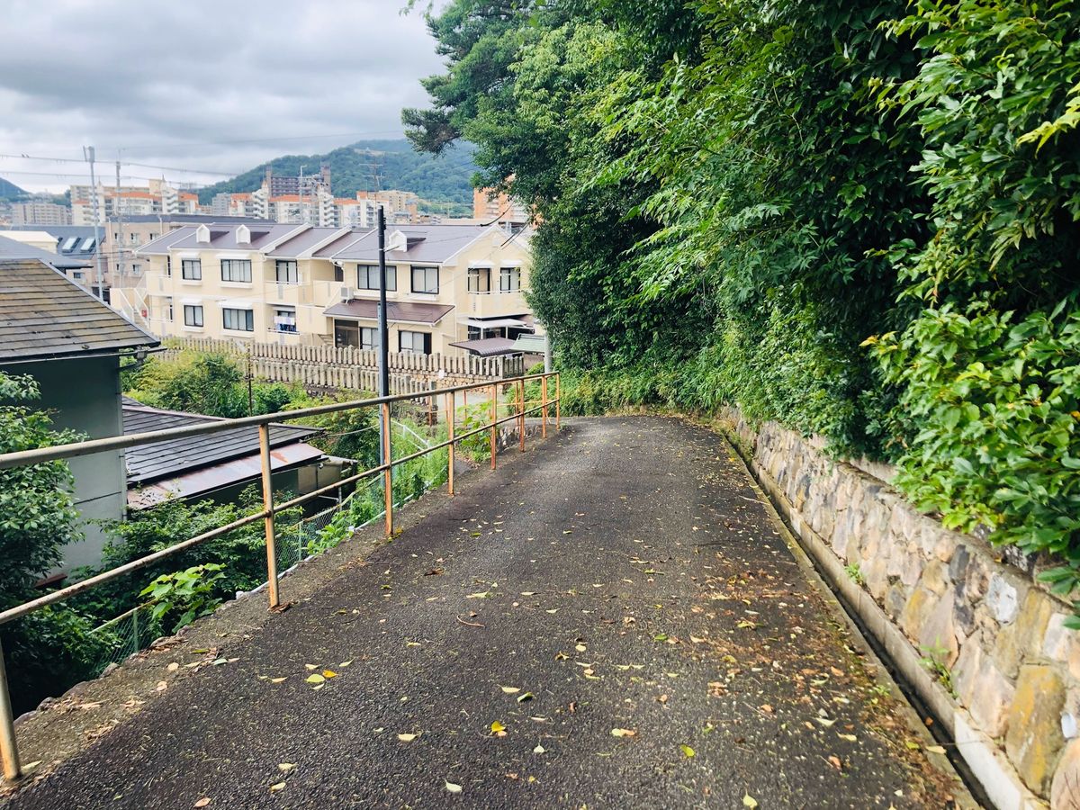 皇太神社3⛩
すごい蚊に刺された…