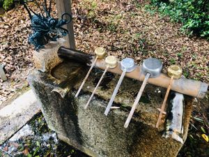 皇太神社2⛩
静かなパワー