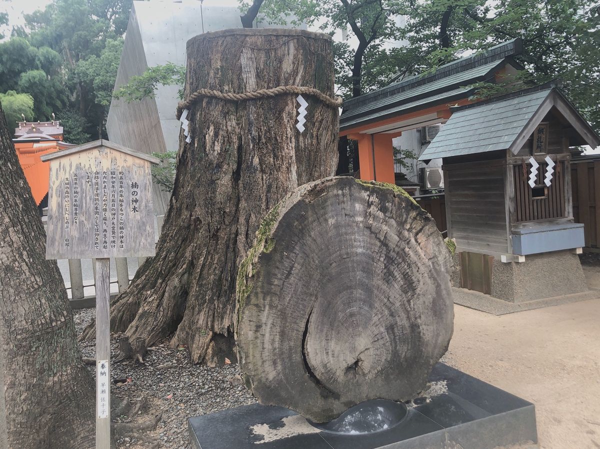 生田神社⛩
藤原紀香と陣内智則の結婚式はここで行ったとか。
地元民にはとて...