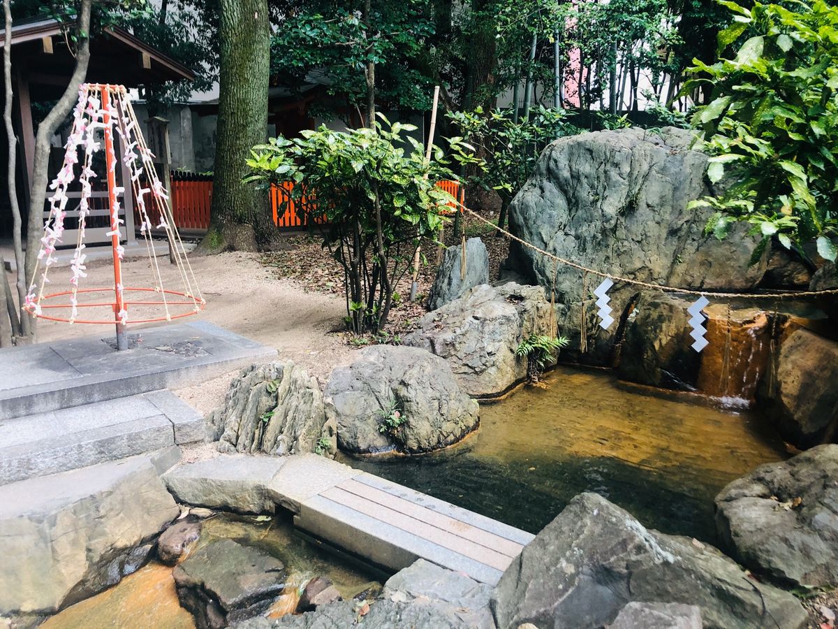 生田神社2⛩
神社の中に小さな森があってマイナスイオン溢れてました